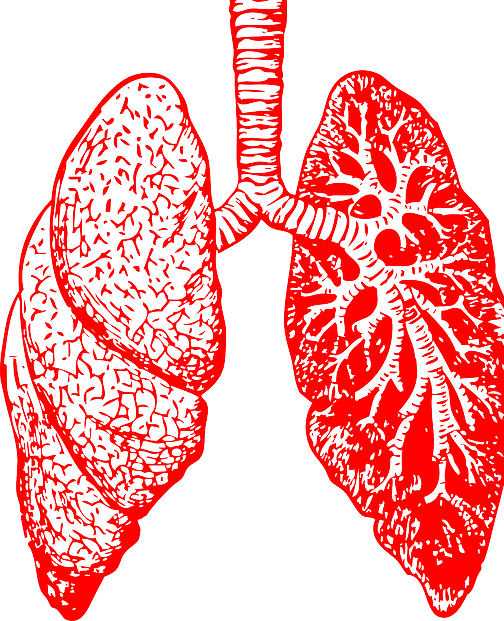 Asthma | دمہ